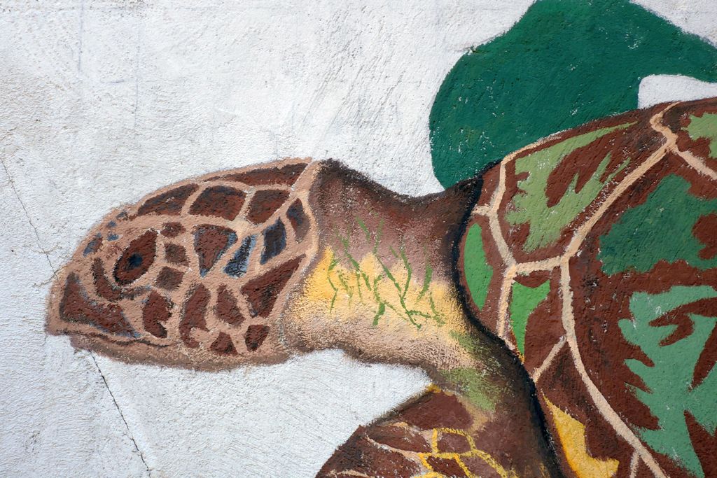 Tortuguero, żółw, mural z żółwiem