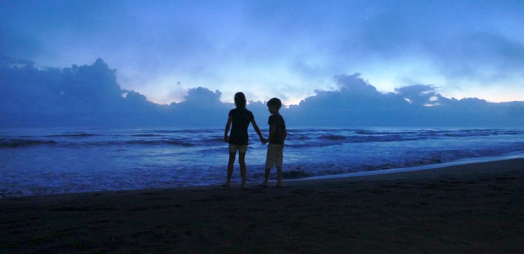 Tortuguero, plaża o poranku, żółwie