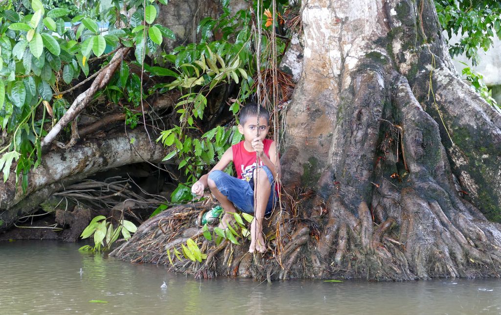 Tortuguero, dziecko, rzeka